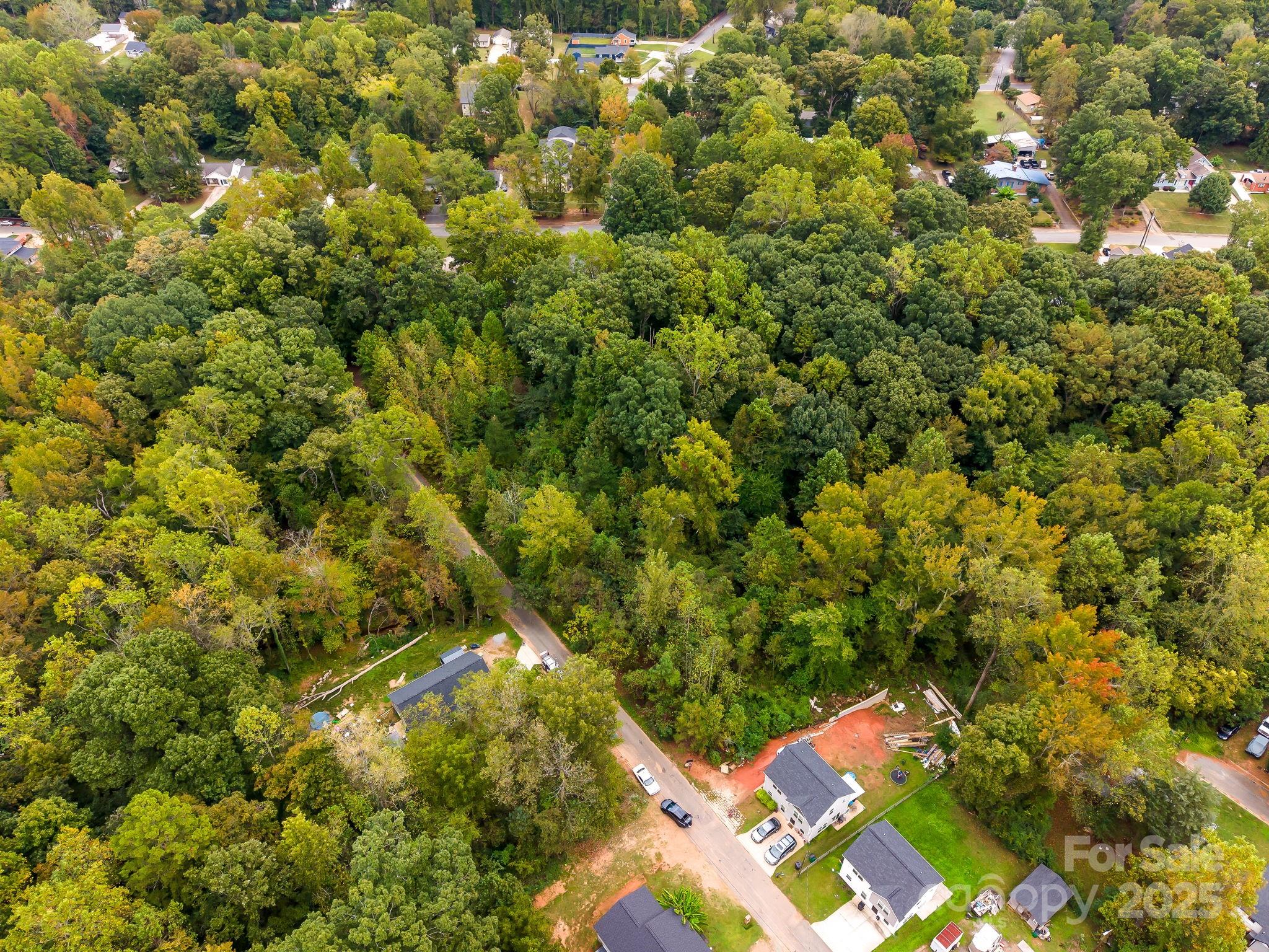 5924 Torrence Street, Unit 22 Charlotte, NC 28269 - Photo 5 of 9 a view of a tree with an outdoor space