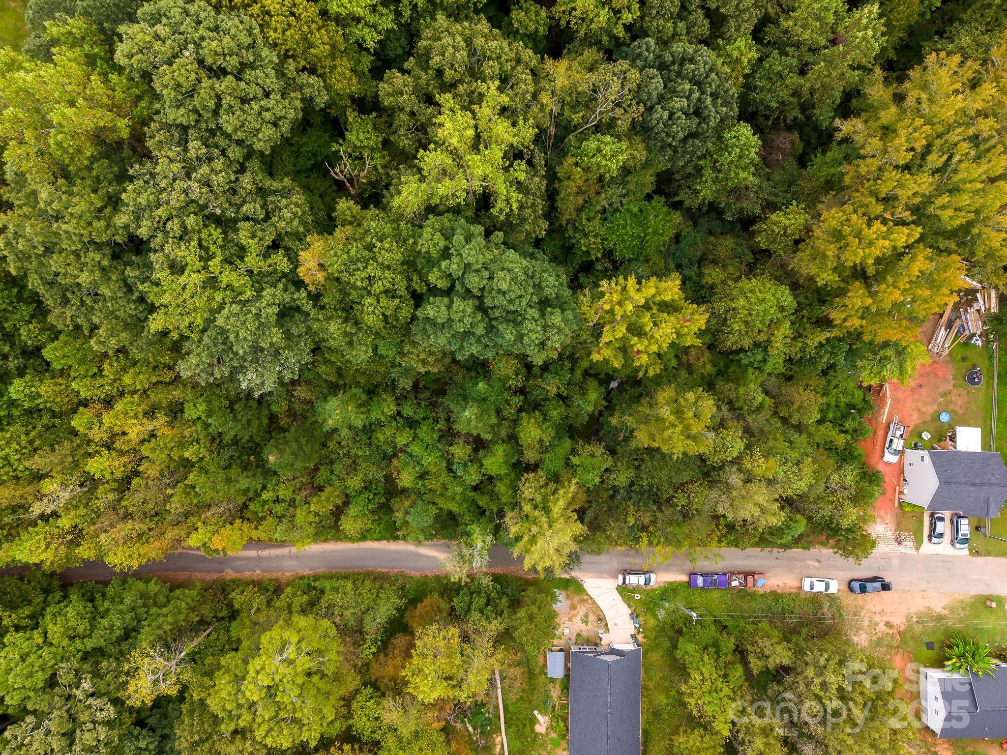 5924 Torrence Street, Unit 22 Charlotte, NC 28269 - Photo 7 of 9 a view of a yard with plants and large trees