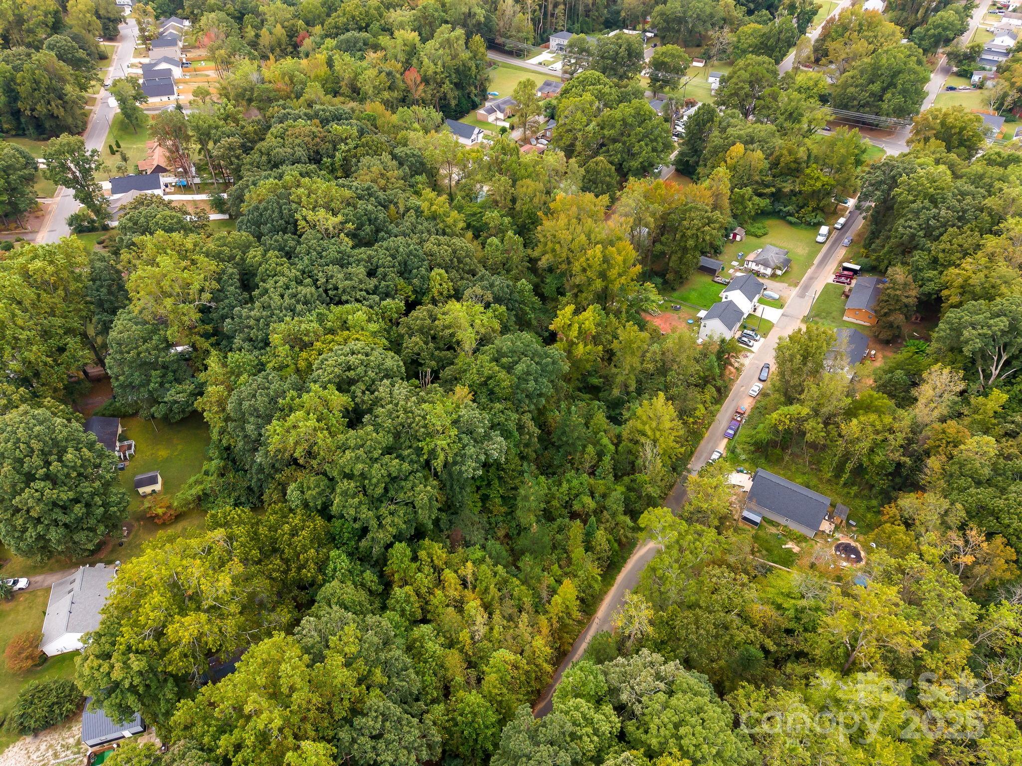 5924 Torrence Street, Unit 22 Charlotte, NC 28269 - Photo 8 of 9 a view of a forest