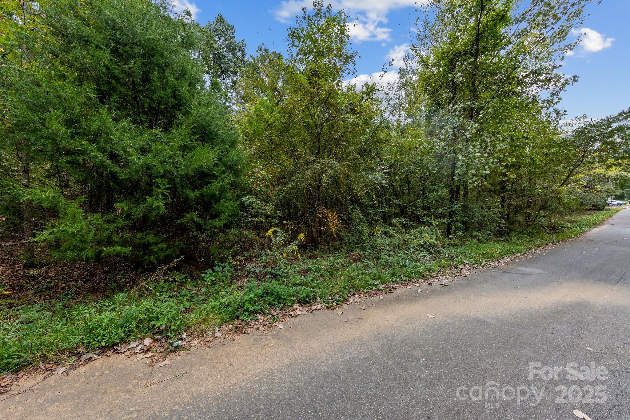 5924 Torrence Street, Unit 22 Charlotte, NC 28269 - Photo 9 of 9 a view of a road with plants and trees