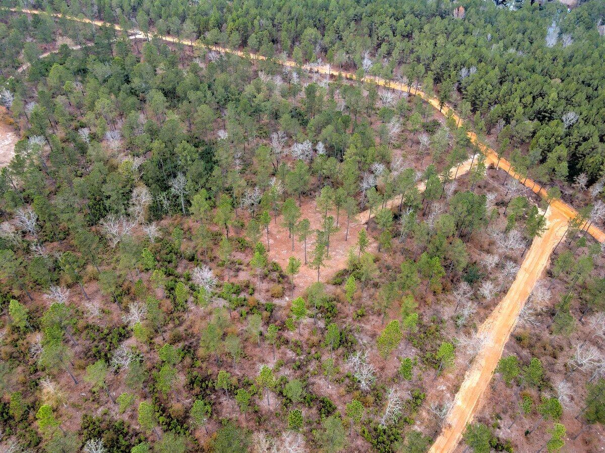 0 Deer Run Road, Unit F2 Williston, SC 29853 - Photo 18 of 24 Gallery Image 18