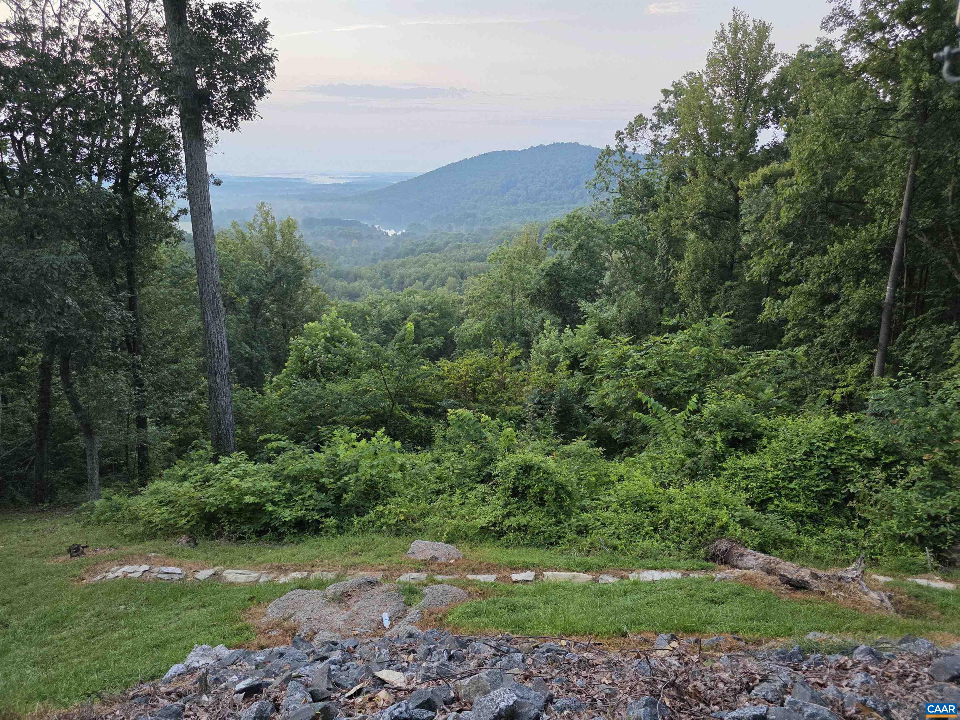 1022 Turkey Ridge Road Stanardsville, VA 22973 - Photo 61 of 74 a view of a lush green forest with trees in the background