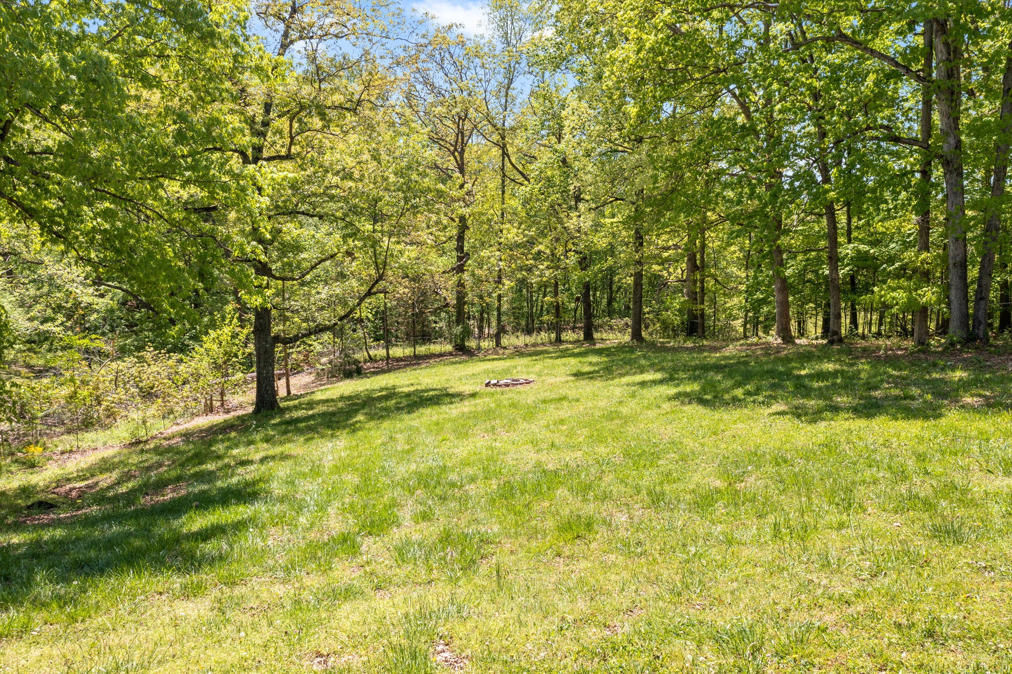 3315 Lylewood Road Woodlawn, TN 37191 - Photo 36 of 39 a view of outdoor space with trees
