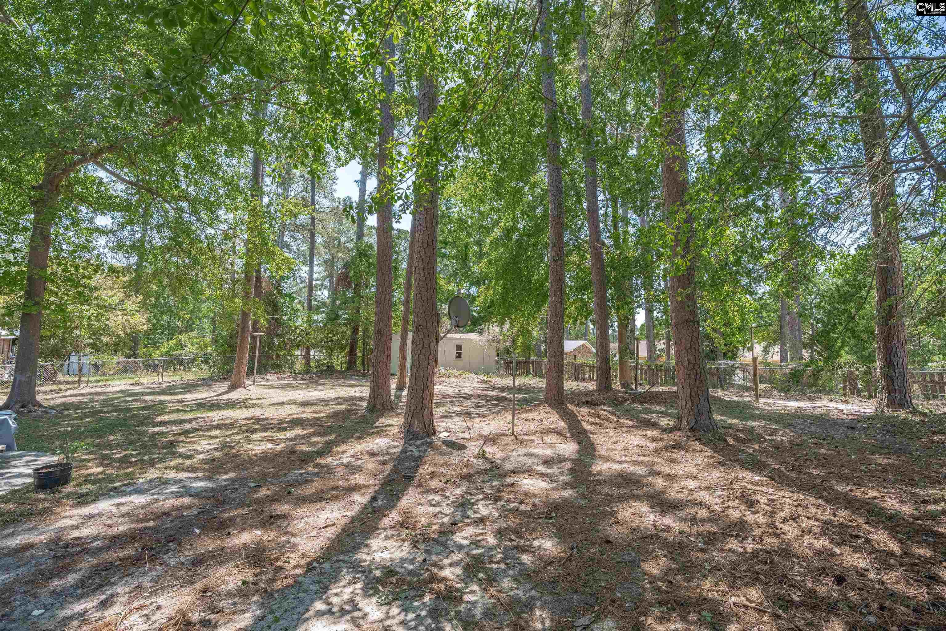 8206 Bayfield Road Columbia, SC 29223 - Photo 29 of 29