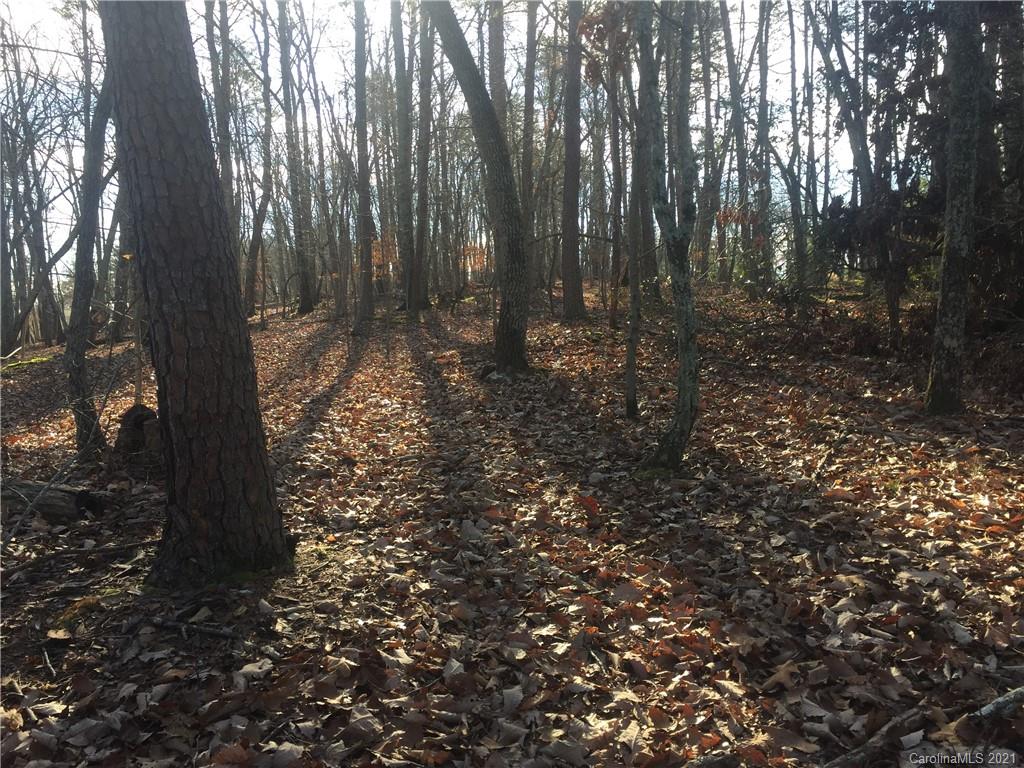 0 Towhee Trail Tryon, NC 28782 - Photo 2 of 5 Gallery Image 2