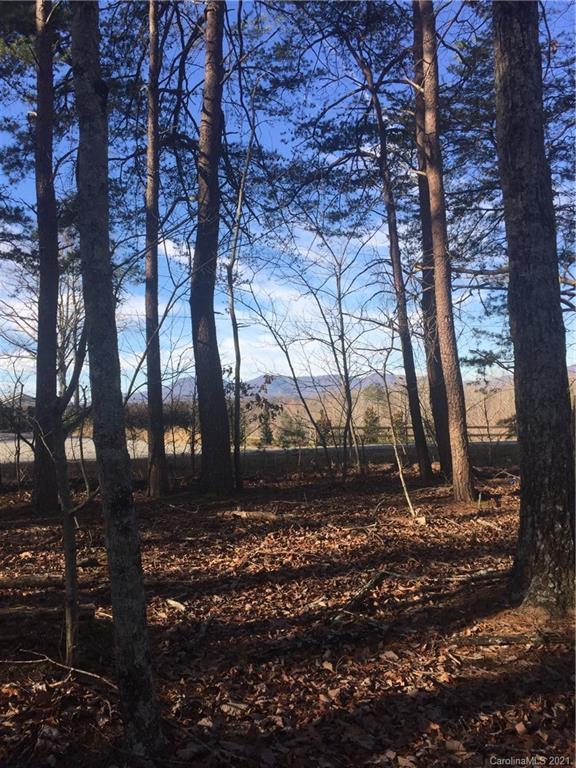 0 Towhee Trail Tryon, NC 28782 - Photo 4 of 5 Gallery Image 4