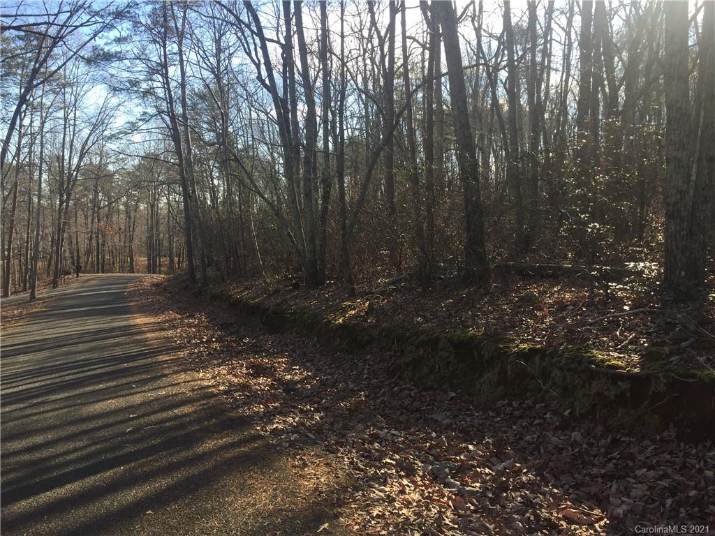 0 Towhee Trail Tryon, NC 28782 - Photo 5 of 5 Gallery Image 5