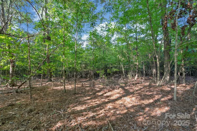 a view of a tennis court
