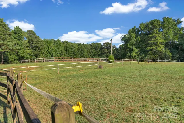 a view of a lush green forest with lots of trees