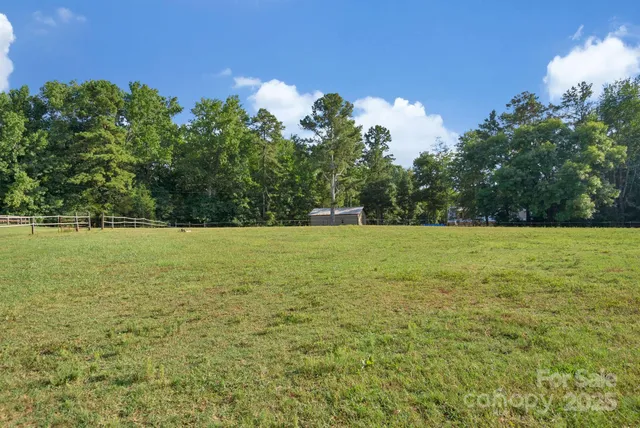 a view of a yard with plants and trees