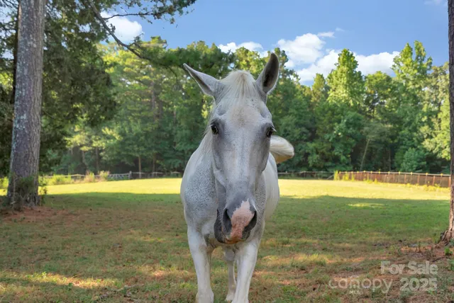 a view of a swimming pool with an outdoor space and seating area