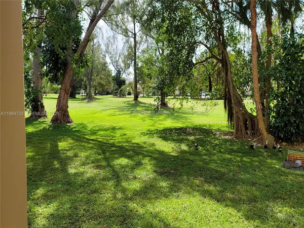 a view of a trees with a yard
