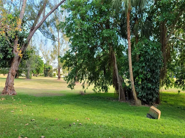 a view of green field