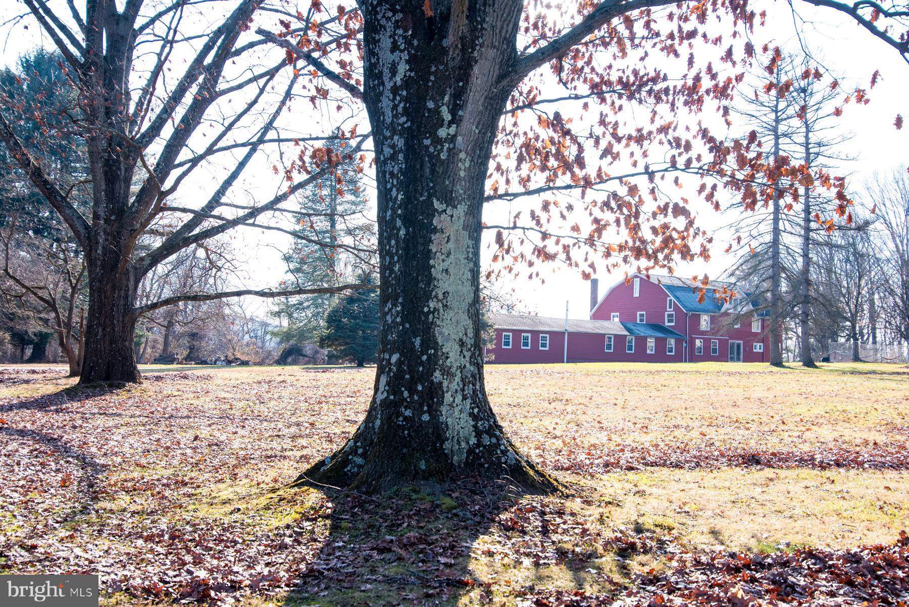 182 Level Road, Unit BACK Collegeville, PA 19426 - Photo 2 of 37