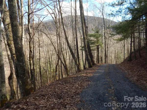 $20,000 | 0 Hoot Owl Bill Road, Maggie Valley, NC 28751