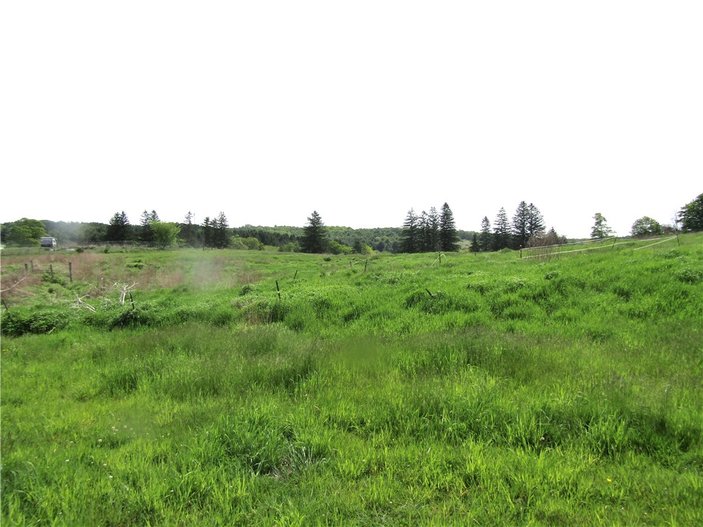 539 State Route Endicott, NY 13760 - Photo 30 of 38 pasture and fields