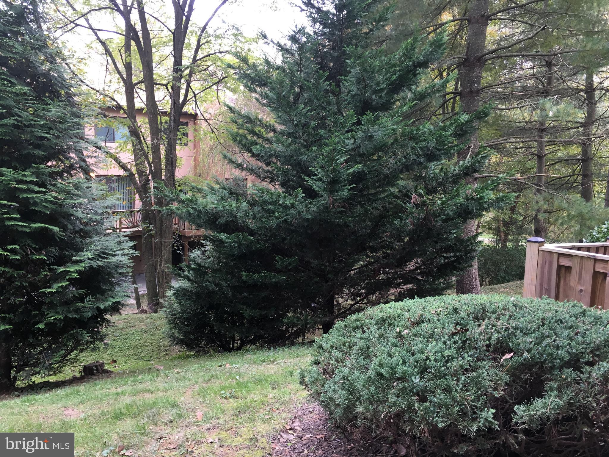 5570 Vantage Point Road, Unit 3 Columbia, MD 21044 - Photo 11 of 14 a view of backyard with green space