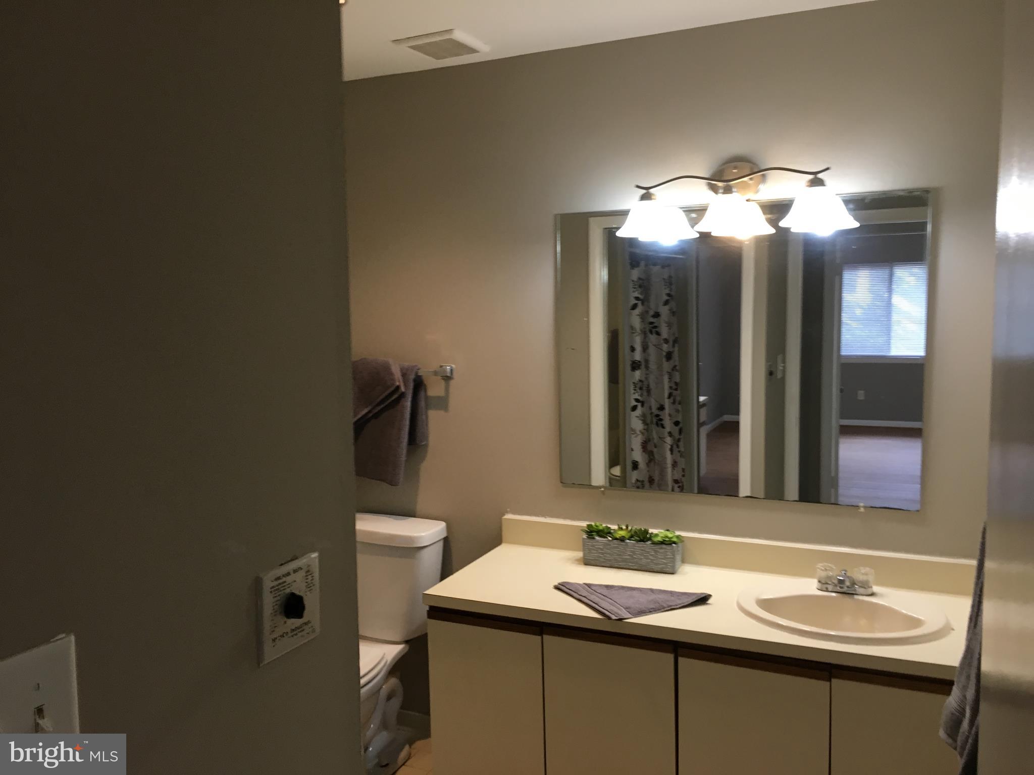 5570 Vantage Point Road, Unit 3 Columbia, MD 21044 - Photo 10 of 14 a bathroom with a sink and a mirror