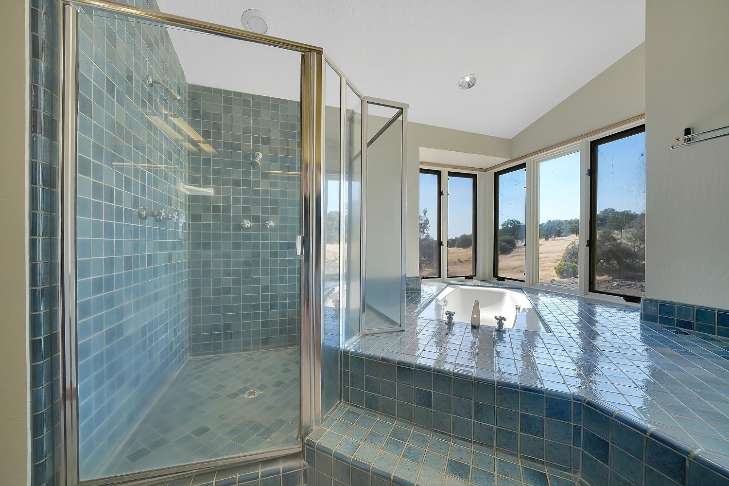 15111 Tyler Road Fiddletown, CA 95629 - Photo 43 of 92 a bathroom with a glass shower door and a large window