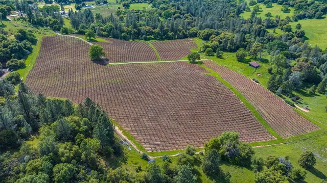 a view of a livingroom with furniture and floor to ceiling window