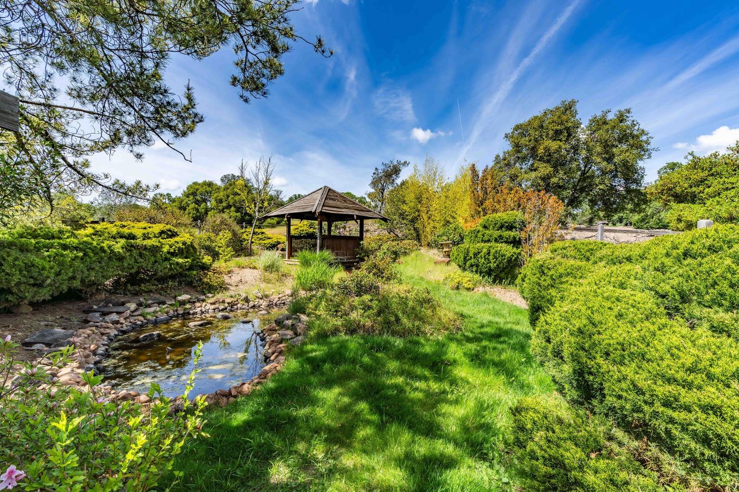 15111 Tyler Road Fiddletown, CA 95629 - Photo 68 of 92 a backyard of a house with lots of green space