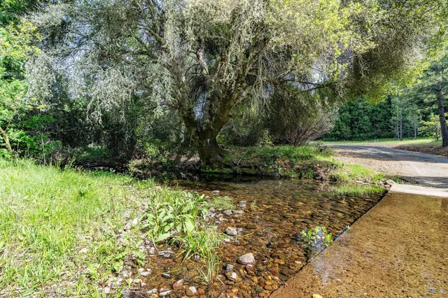 a view of a livingroom with kitchen and couch
