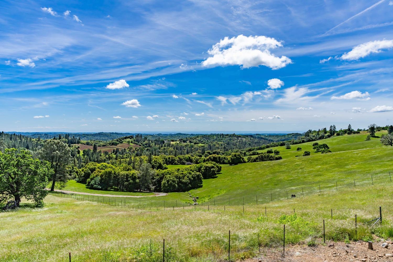 15111 Tyler Road Fiddletown, CA 95629 - Photo 74 of 92 a view of a big yard with lots of green space