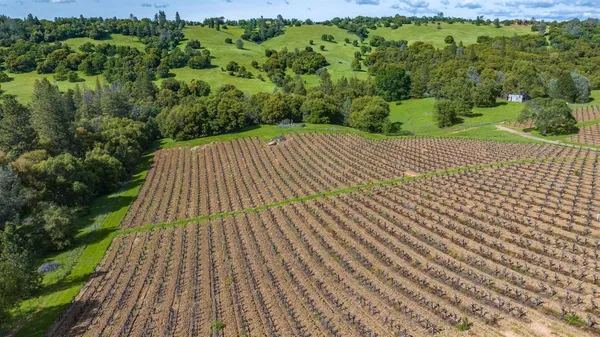 $2,595,000 | 15111 Tyler Road, Fiddletown, CA 95629