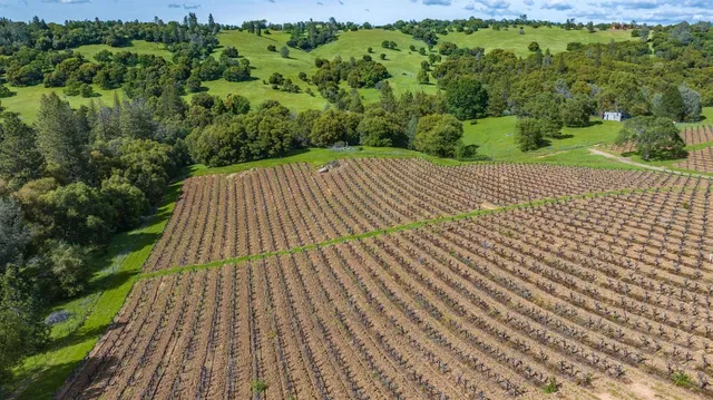 $2,595,000 | 15111 Tyler Road, Fiddletown, CA 95629