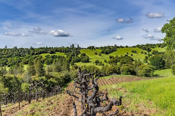 $2,595,000 | 15111 Tyler Road, Fiddletown, CA 95629