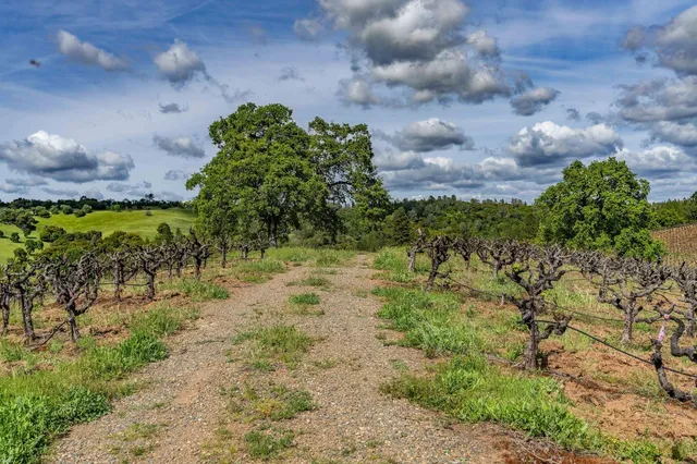 $2,595,000 | 15111 Tyler Road, Fiddletown, CA 95629