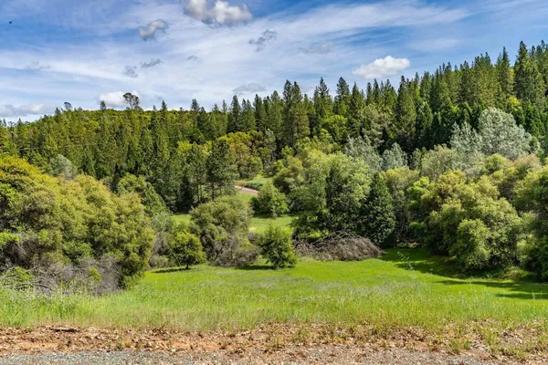 $2,595,000 | 15111 Tyler Road, Fiddletown, CA 95629