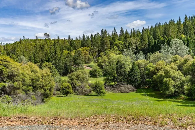 $2,595,000 | 15111 Tyler Road, Fiddletown, CA 95629