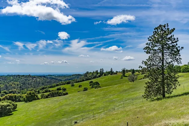 $2,595,000 | 15111 Tyler Road, Fiddletown, CA 95629