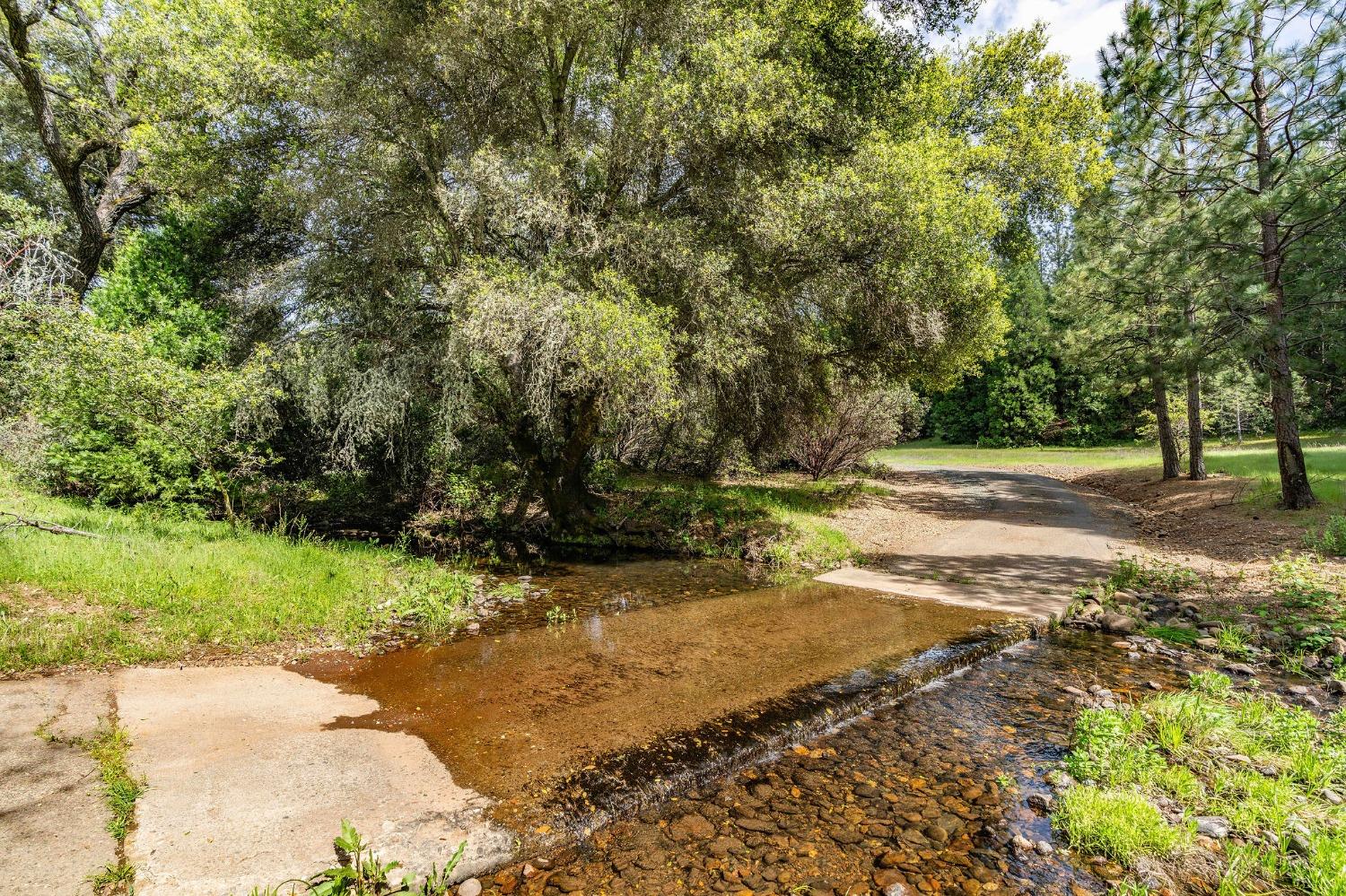 15111 Tyler Road Fiddletown, CA 95629 - Photo 82 of 92 a view of a road with a yard