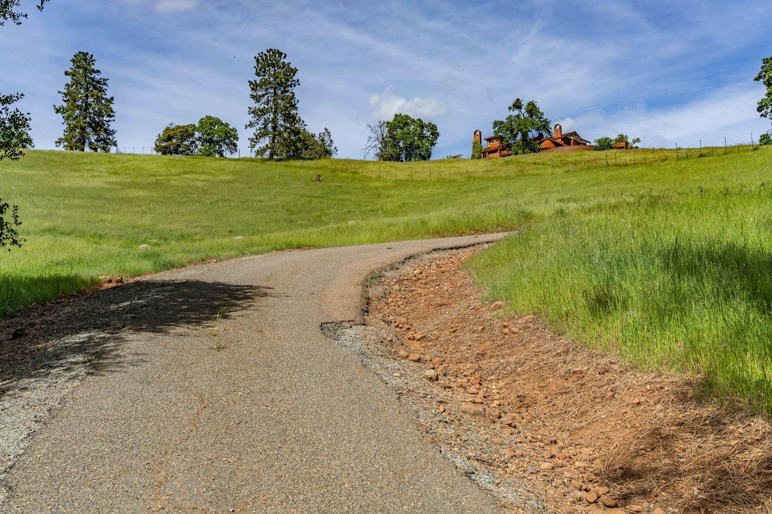 15111 Tyler Road Fiddletown, CA 95629 - Photo 84 of 92 a view of a big yard with a garden