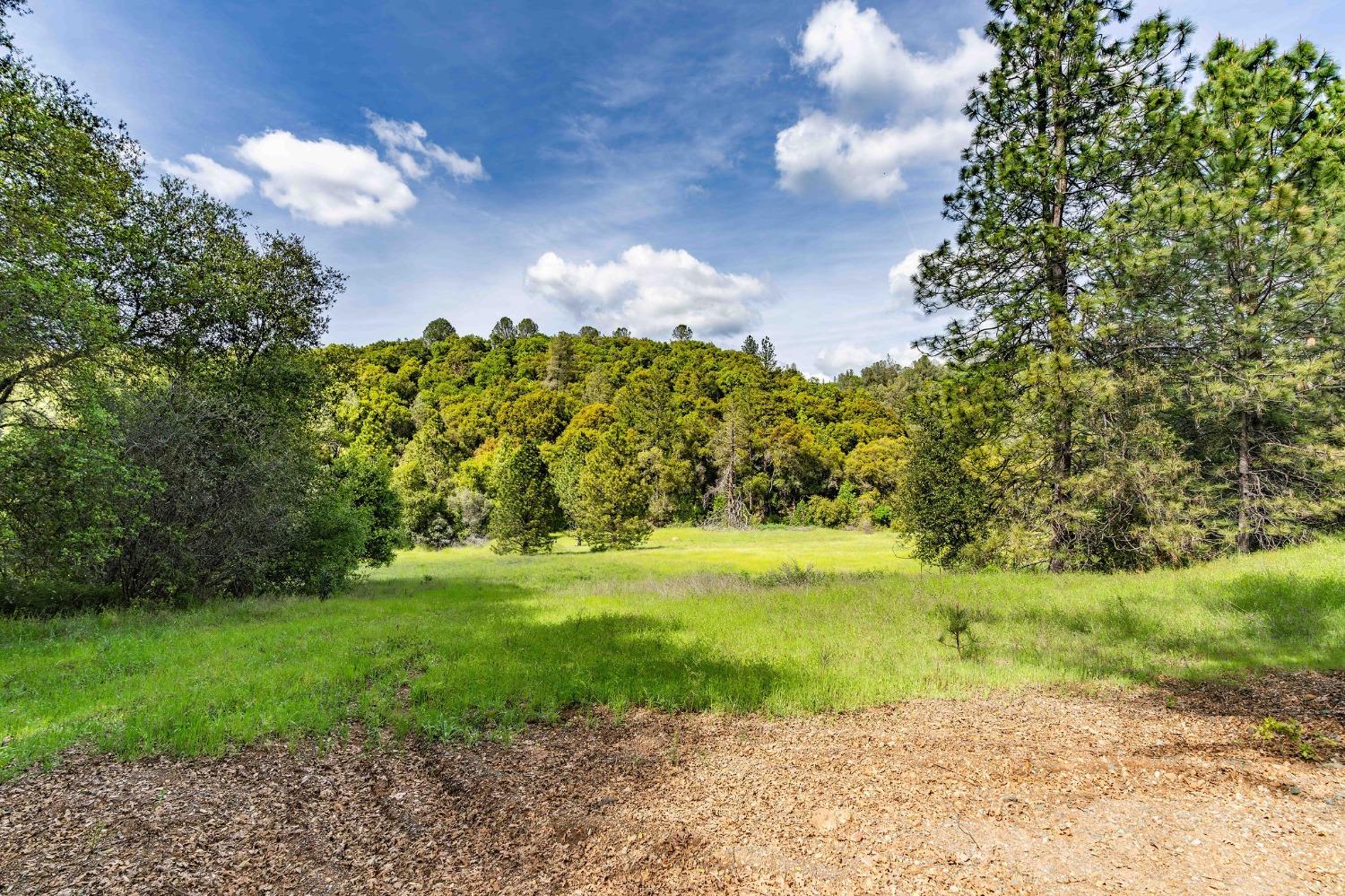 15111 Tyler Road Fiddletown, CA 95629 - Photo 85 of 92 a view of a big yard with lots of green space