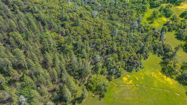 $2,595,000 | 15111 Tyler Road, Fiddletown, CA 95629