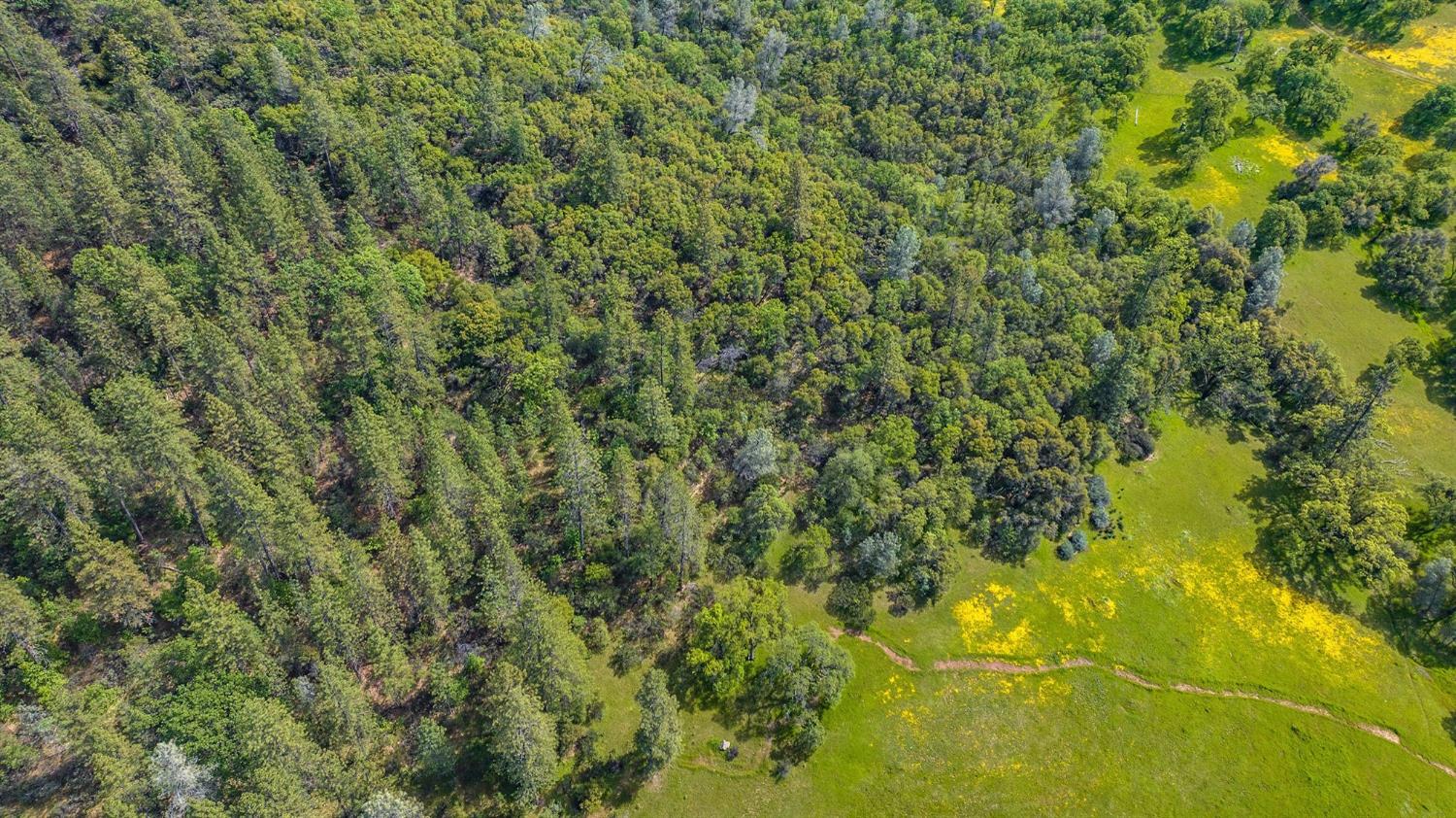15111 Tyler Road Fiddletown, CA 95629 - Photo 86 of 92