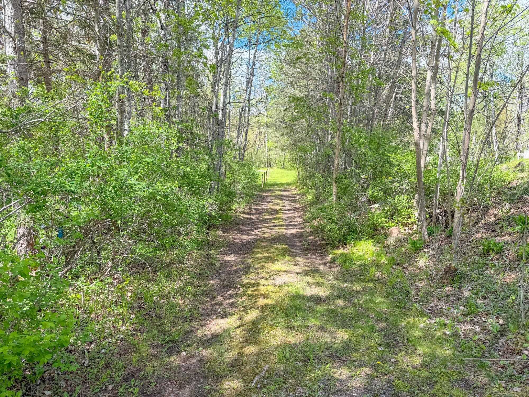 5650 W Tower Road Winter, WI 54896 - Photo 52 of 60