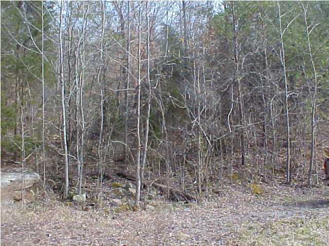 7135 Mullins Cove Road Whitwell, TN 37397 - Photo 4 of 4 Additional Photo
