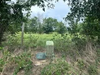 a view of a garden with a fountain