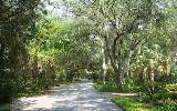 Lot108 Foxtail Road Amelia Island, FL 32034 - Photo 3 of 3 Gallery Image 3