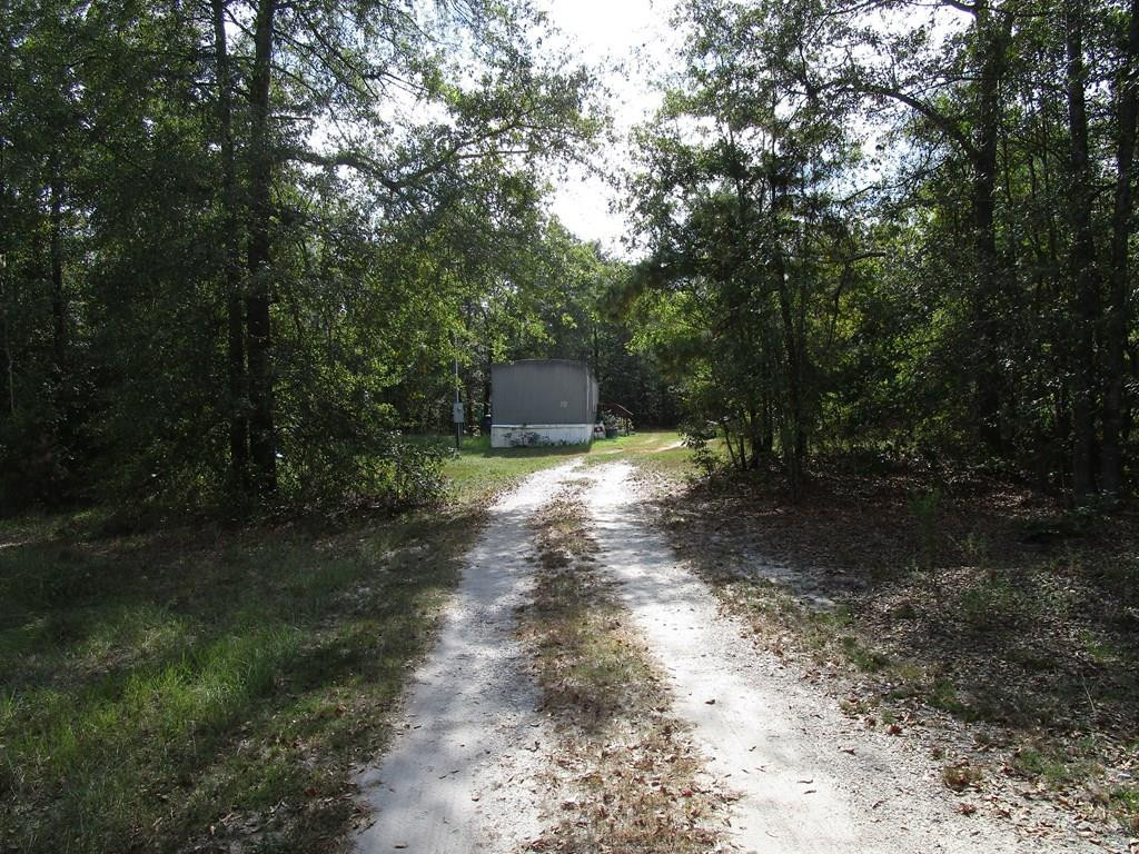 3480 Camp Rawls Road Wagener, SC 29164 - Photo 37 of 40