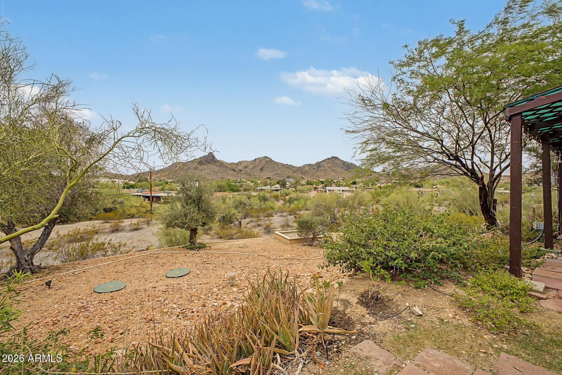 1702 East Griswold Road Phoenix, AZ 85020 - Photo 30 of 38 a view of a yard with a mountain