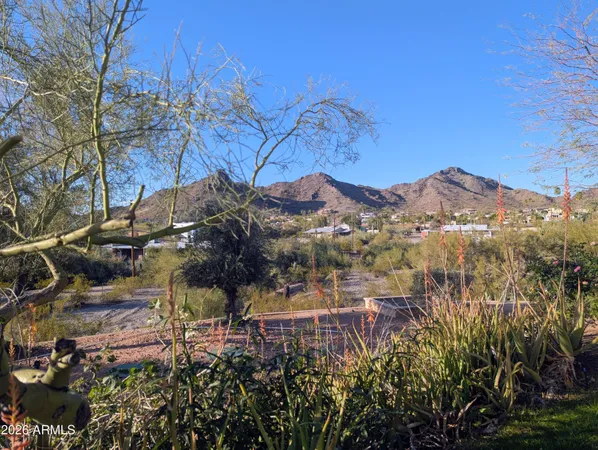 a view of a house with a mountain and a forest