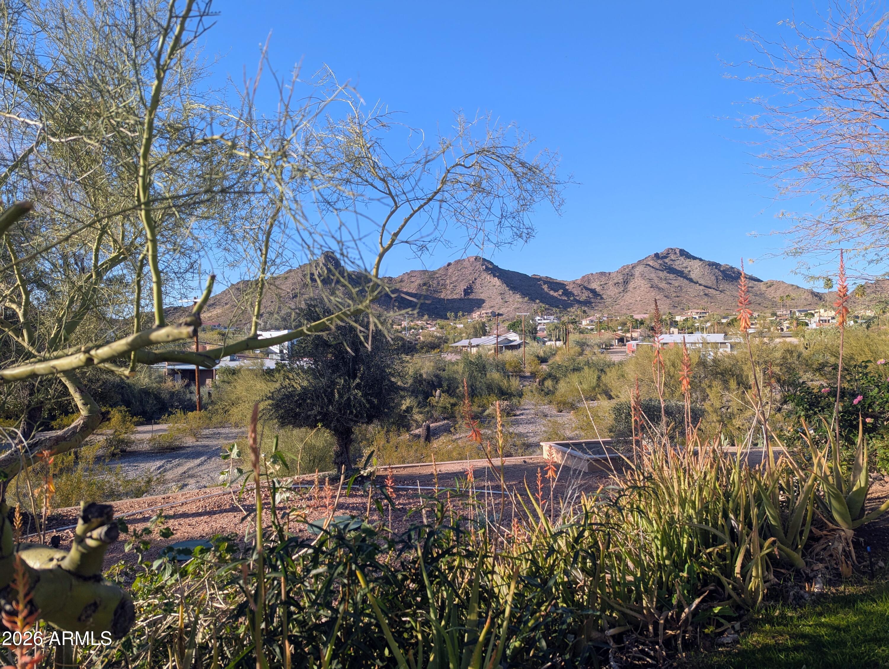 1702 East Griswold Road Phoenix, AZ 85020 - Photo 3 of 6 a view of a house with a mountain and a forest