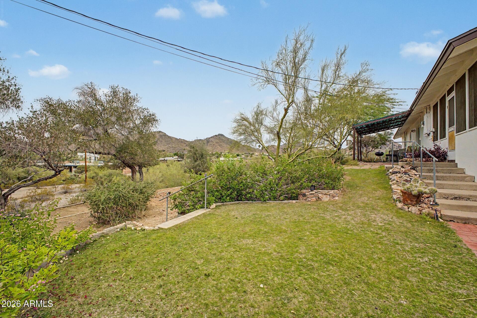 1702 East Griswold Road Phoenix, AZ 85020 - Photo 37 of 38 a view of a yard with an tree and plants