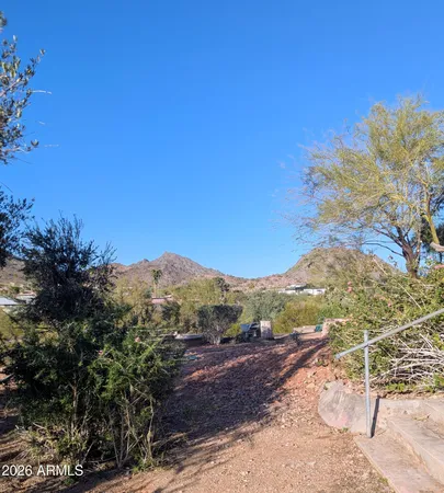a view of a dry yard with green space