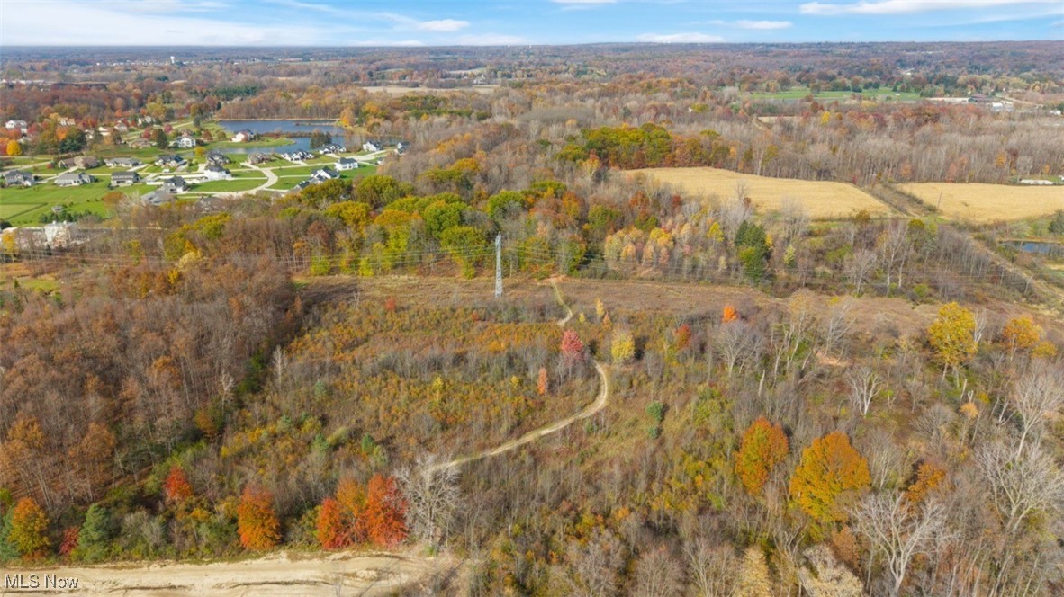 3652 Pearl Road Medina, OH 44256 - Photo 30 of 38 Birds eye view of property